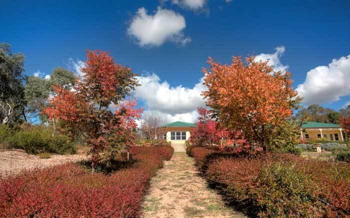 Accommodation Creek Cottages & Sundown View Suites Ballandean Εξωτερικό φωτογραφία