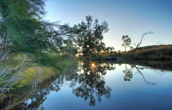 Accommodation Creek Cottages & Sundown View Suites Ballandean Εξωτερικό φωτογραφία