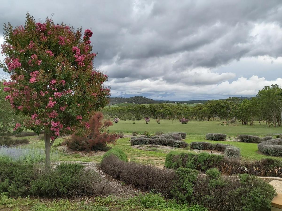 Accommodation Creek Cottages & Sundown View Suites Ballandean Εξωτερικό φωτογραφία